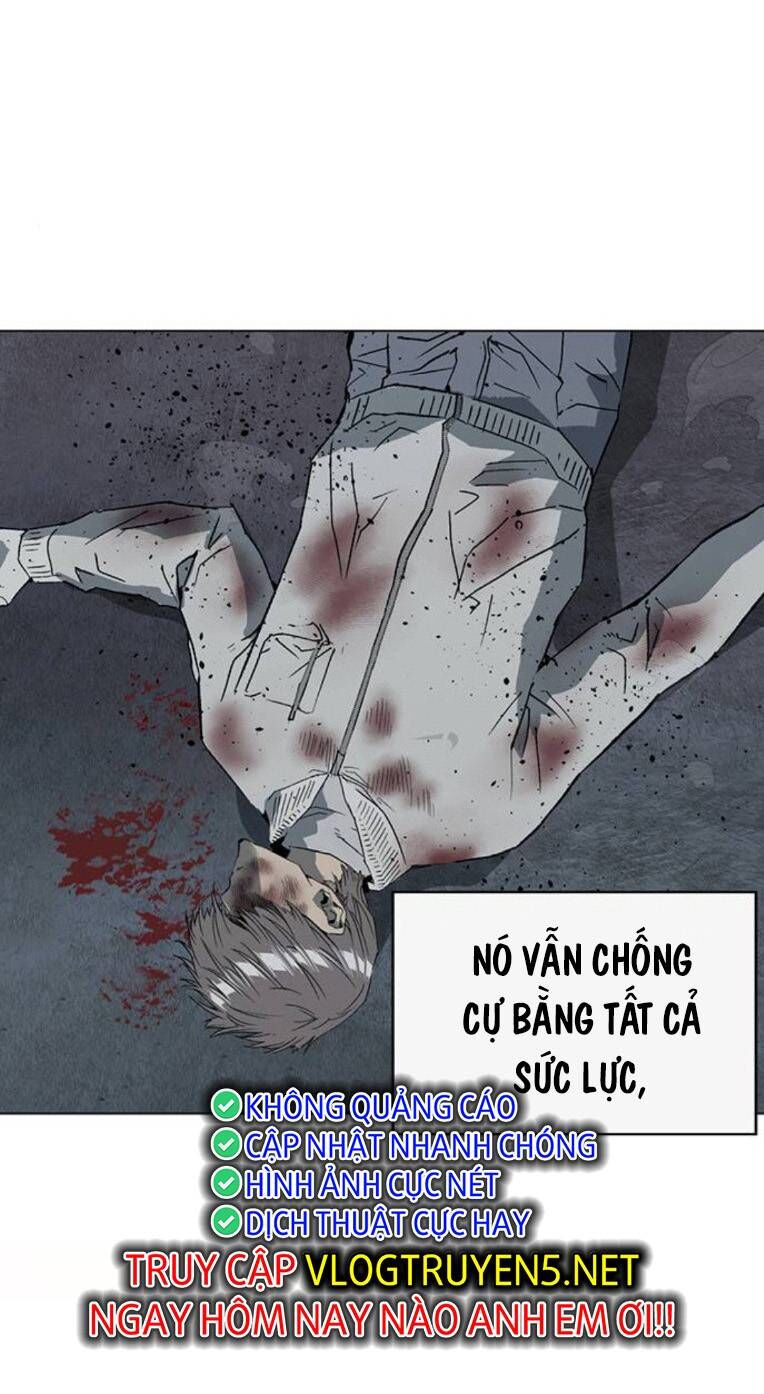 Anh Hùng Yếu Chapter 254 - Trang 2