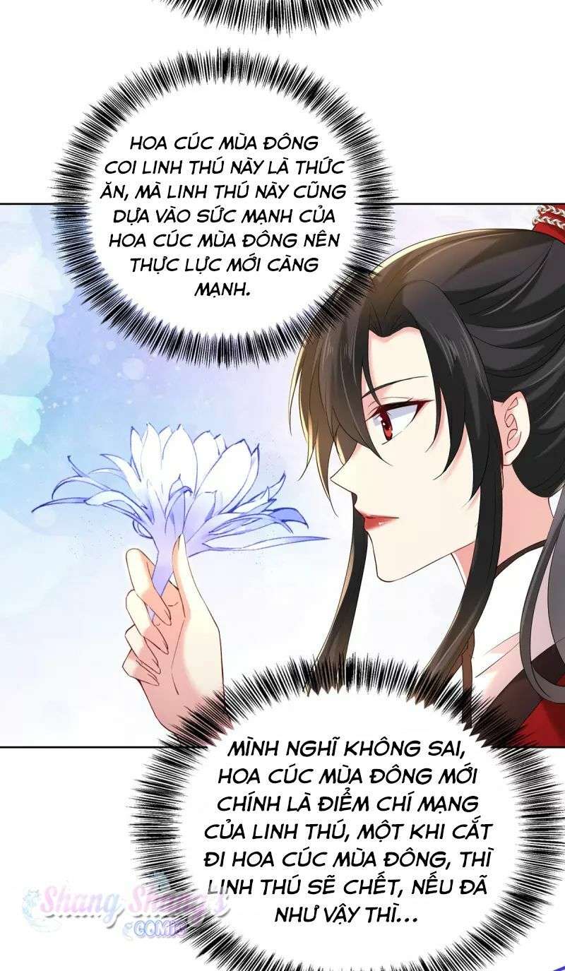 Ta Ở Dị Giới Nuôi Dưỡng Nam Thần: Thần Y Cửu Tiểu Thư Chapter 214 - Trang 2