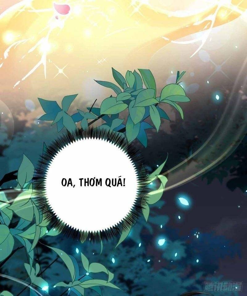 Ta Ở Dị Giới Nuôi Dưỡng Nam Thần: Thần Y Cửu Tiểu Thư Chapter 78 - Trang 2