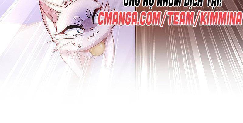 Ta Ở Dị Giới Nuôi Dưỡng Nam Thần: Thần Y Cửu Tiểu Thư Chapter 64 - Trang 2