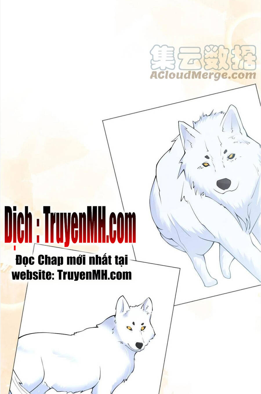 Ta Có Năm Đại Lão Ba Ba Chapter 306 - Trang 2