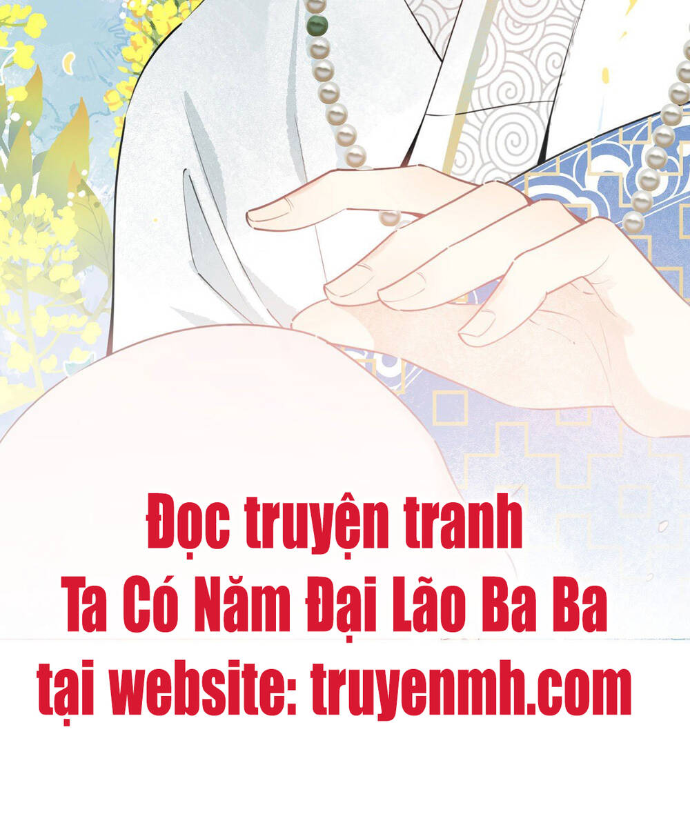 Ta Có Năm Đại Lão Ba Ba Chapter 1 - Trang 2