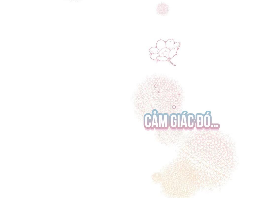 Hoàng Tử Hư Hỏng Che Giấu Mình Là Omega Chapter 16 - Trang 2