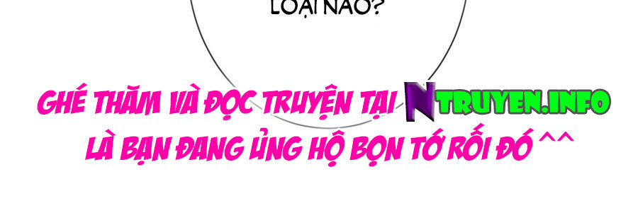 Ẩn Hôn 100%: Chọc Tức Vợ Yêu Mua Một Tặng Một Chapter 104 - Trang 2