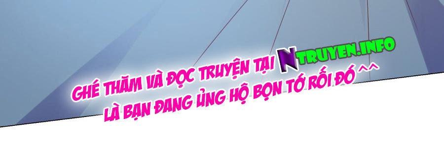 Ẩn Hôn 100%: Chọc Tức Vợ Yêu Mua Một Tặng Một Chapter 95 - Trang 2