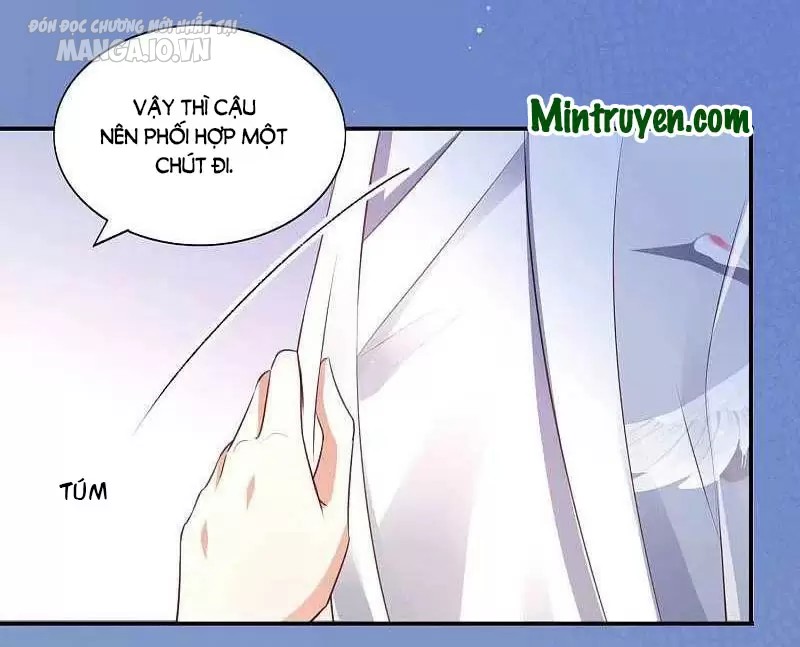 Diễn Giả Làm Thật Chapter 142 - Trang 2