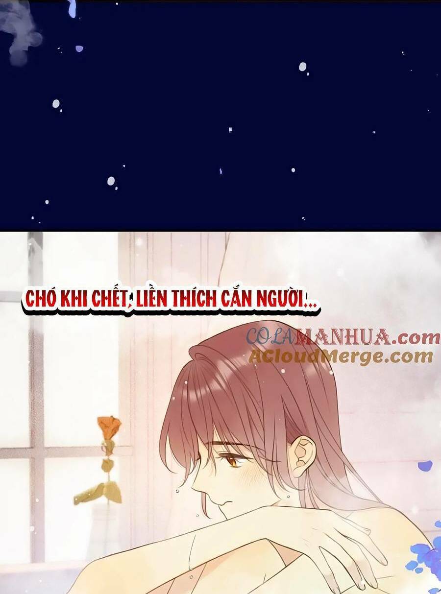 Lâu Tiểu Thư, Lại Gặp Nhau Rồi Chapter 108 - Trang 2