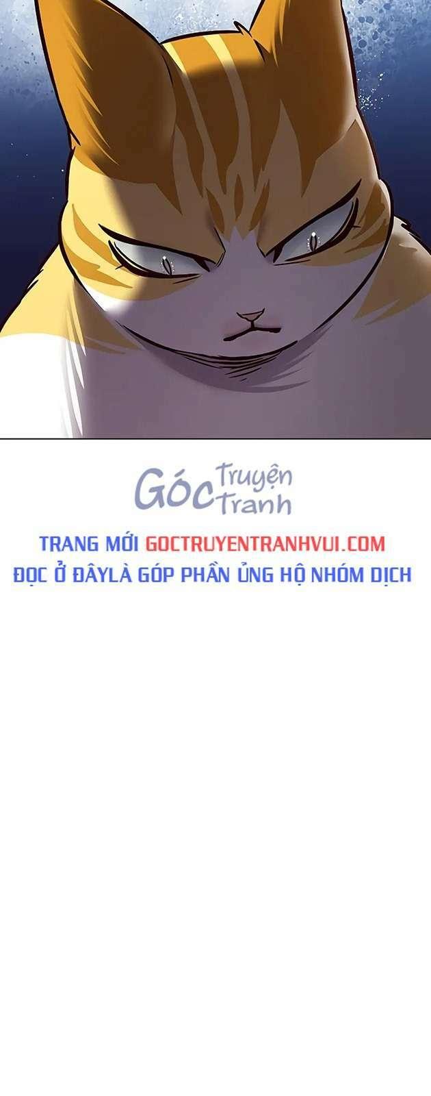 Biến Thân Thành Mèo Chapter 270 - Trang 2