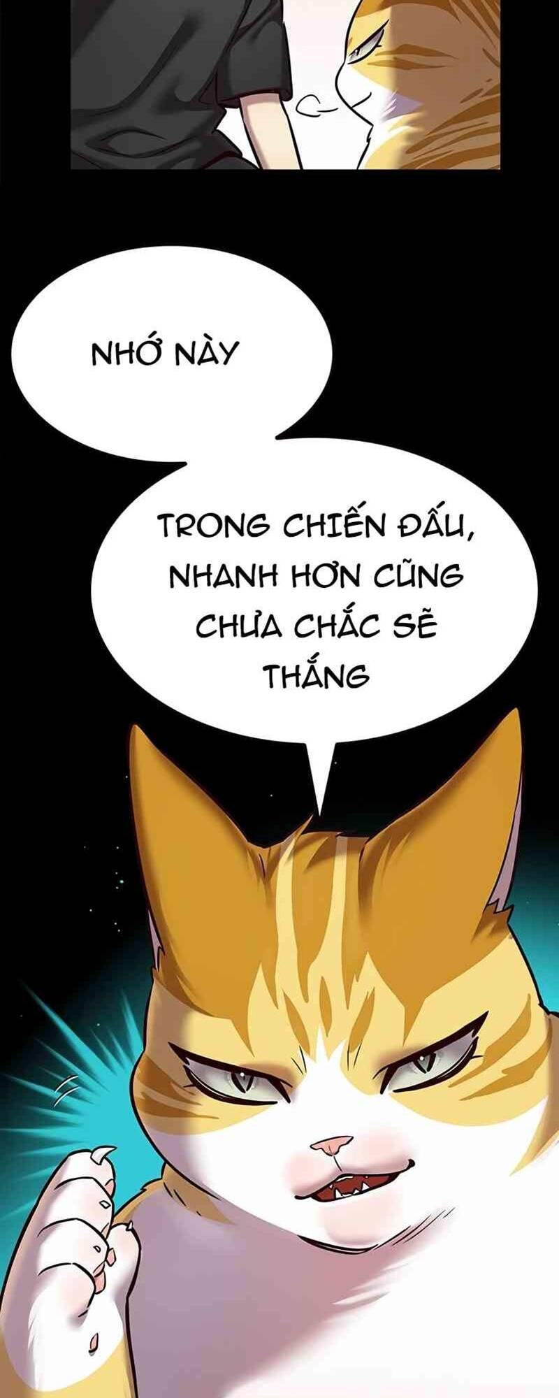 Biến Thân Thành Mèo Chapter 244 - Trang 2