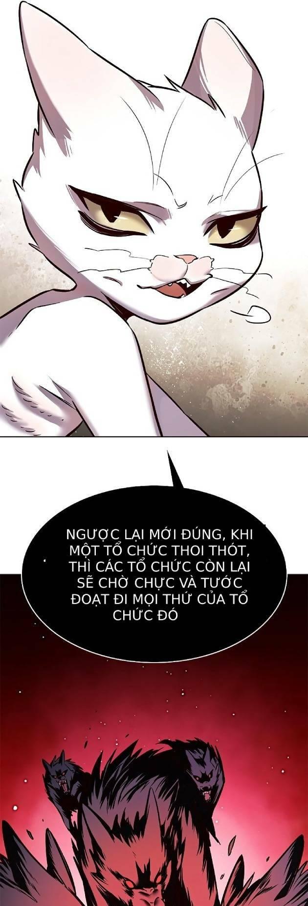 Biến Thân Thành Mèo Chapter 239 - Trang 2