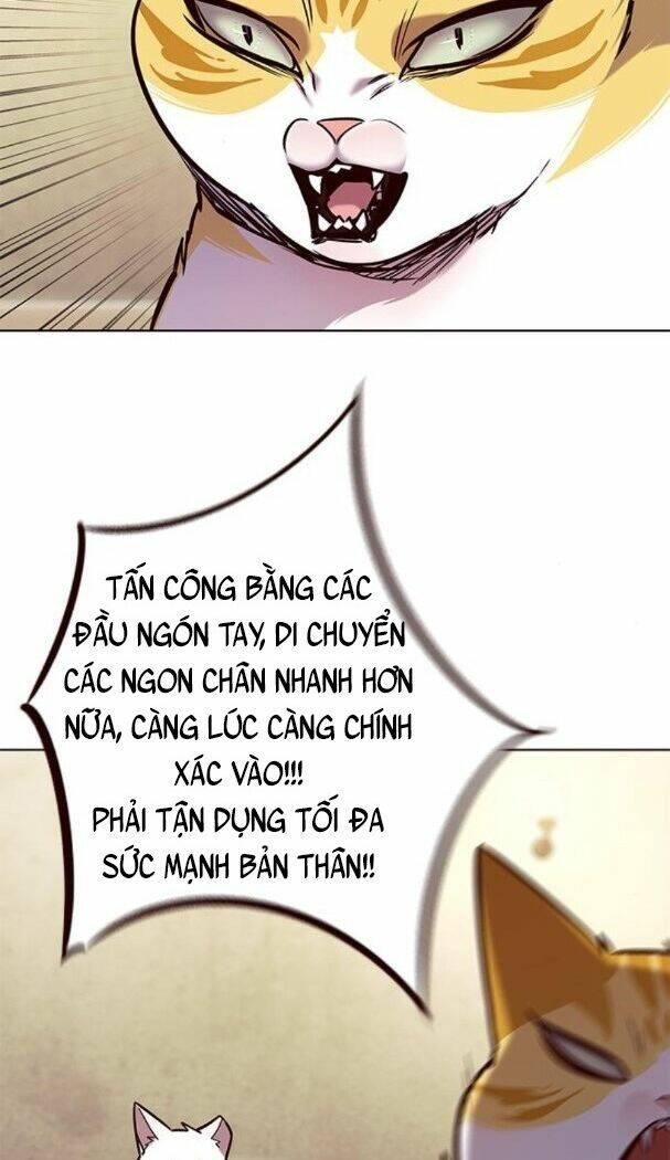 Biến Thân Thành Mèo Chapter 174 - Trang 2