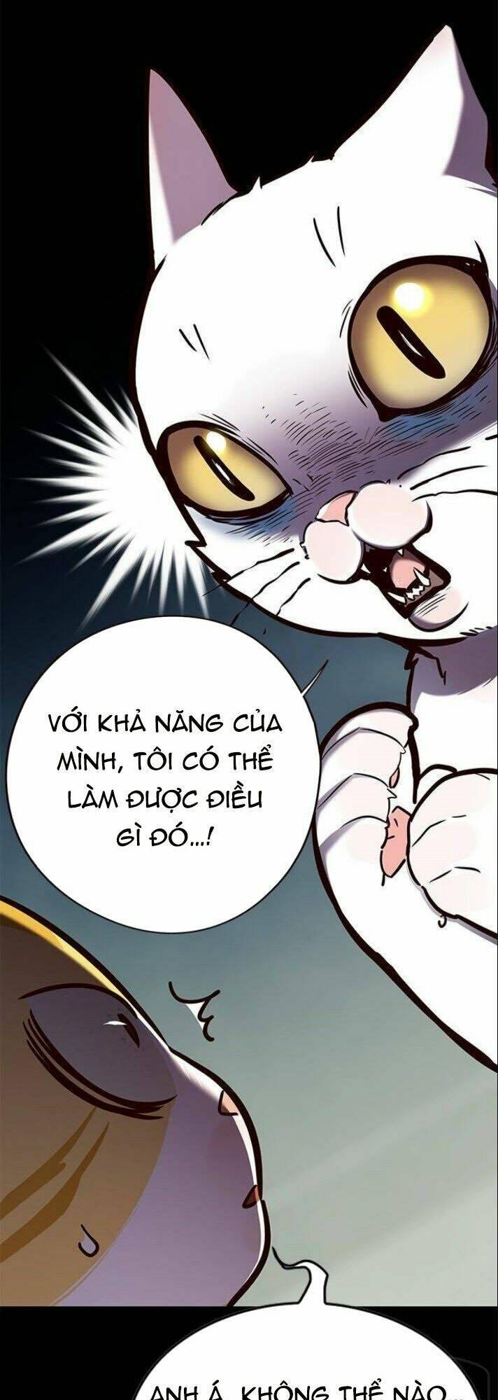 Biến Thân Thành Mèo Chapter 142 - Trang 2