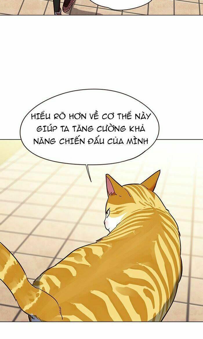 Biến Thân Thành Mèo Chapter 80 - Trang 2