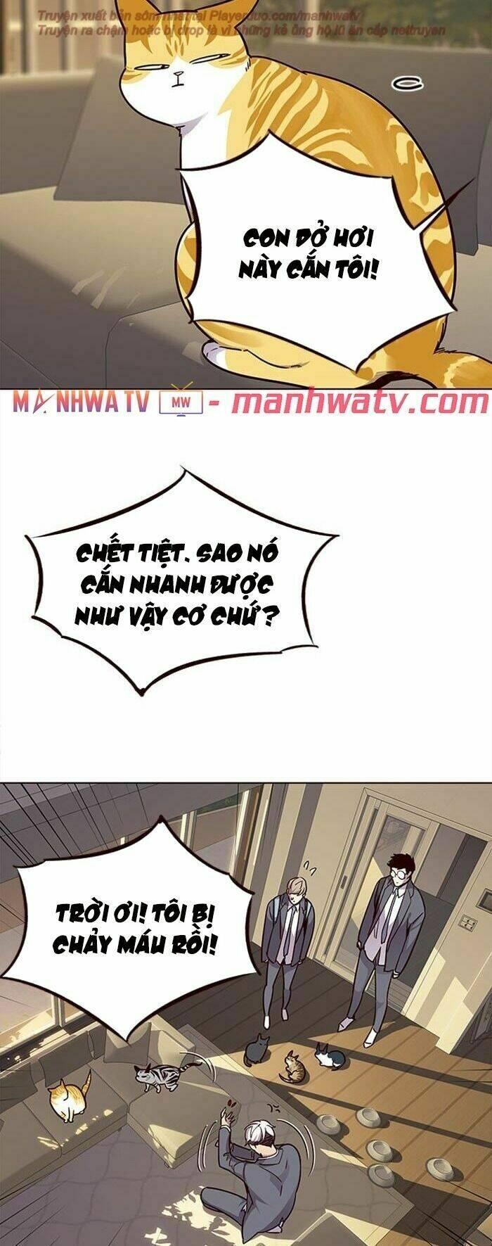 Biến Thân Thành Mèo Chapter 38 - Trang 2