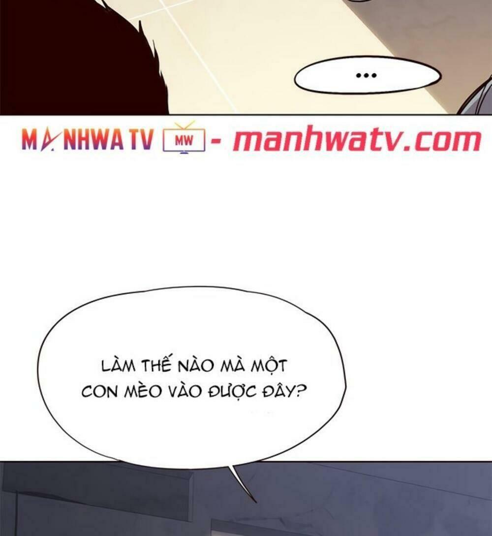 Biến Thân Thành Mèo Chapter 19 - Trang 2