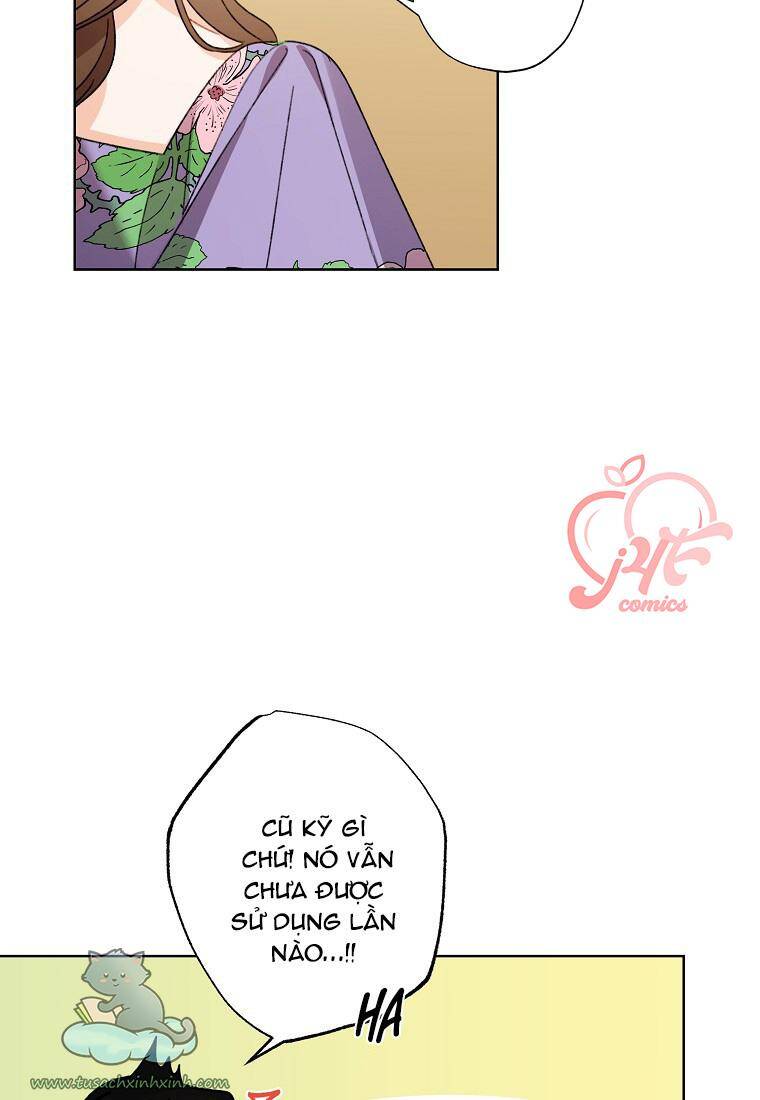 Tôi Trở Thành Mẹ Kế Của Cinderella Chapter 59 - Trang 2