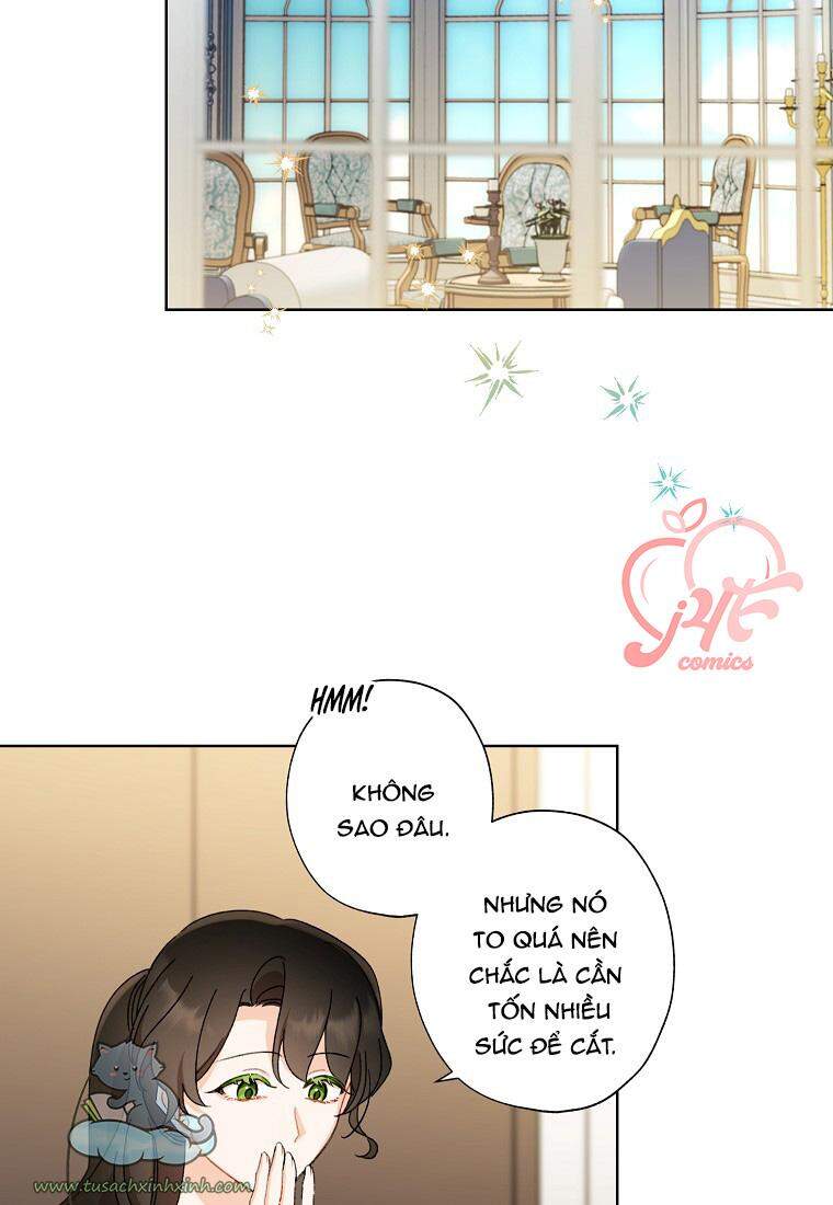 Tôi Trở Thành Mẹ Kế Của Cinderella Chapter 57 - Trang 2