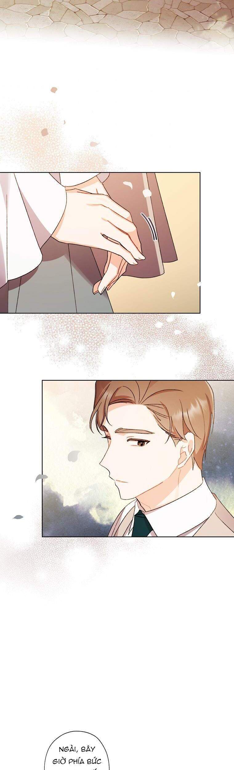 Tôi Trở Thành Mẹ Kế Của Cinderella Chapter 56 - Trang 2