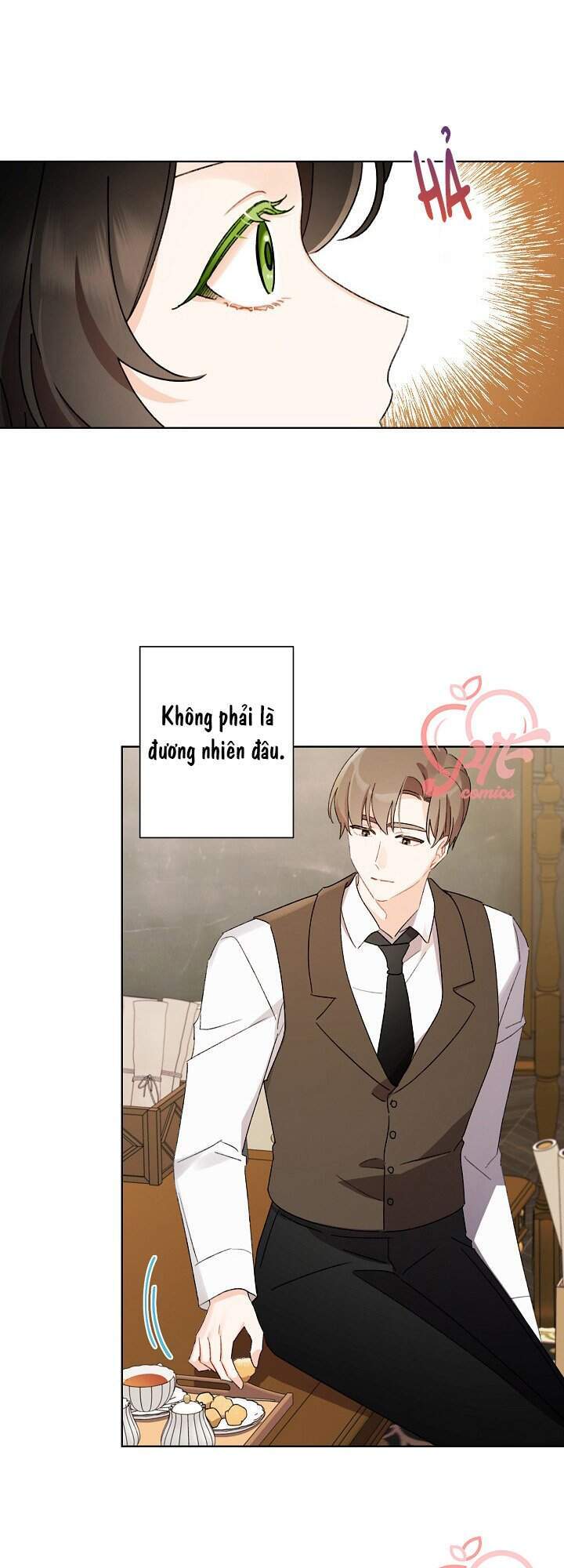 Tôi Trở Thành Mẹ Kế Của Cinderella Chapter 45 - Trang 2