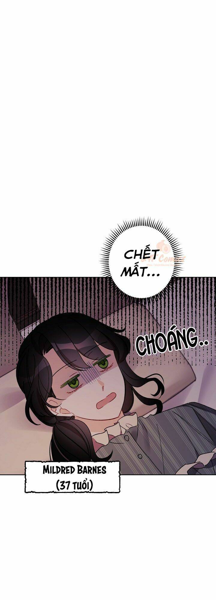 Tôi Trở Thành Mẹ Kế Của Cinderella Chapter 23 - Trang 2