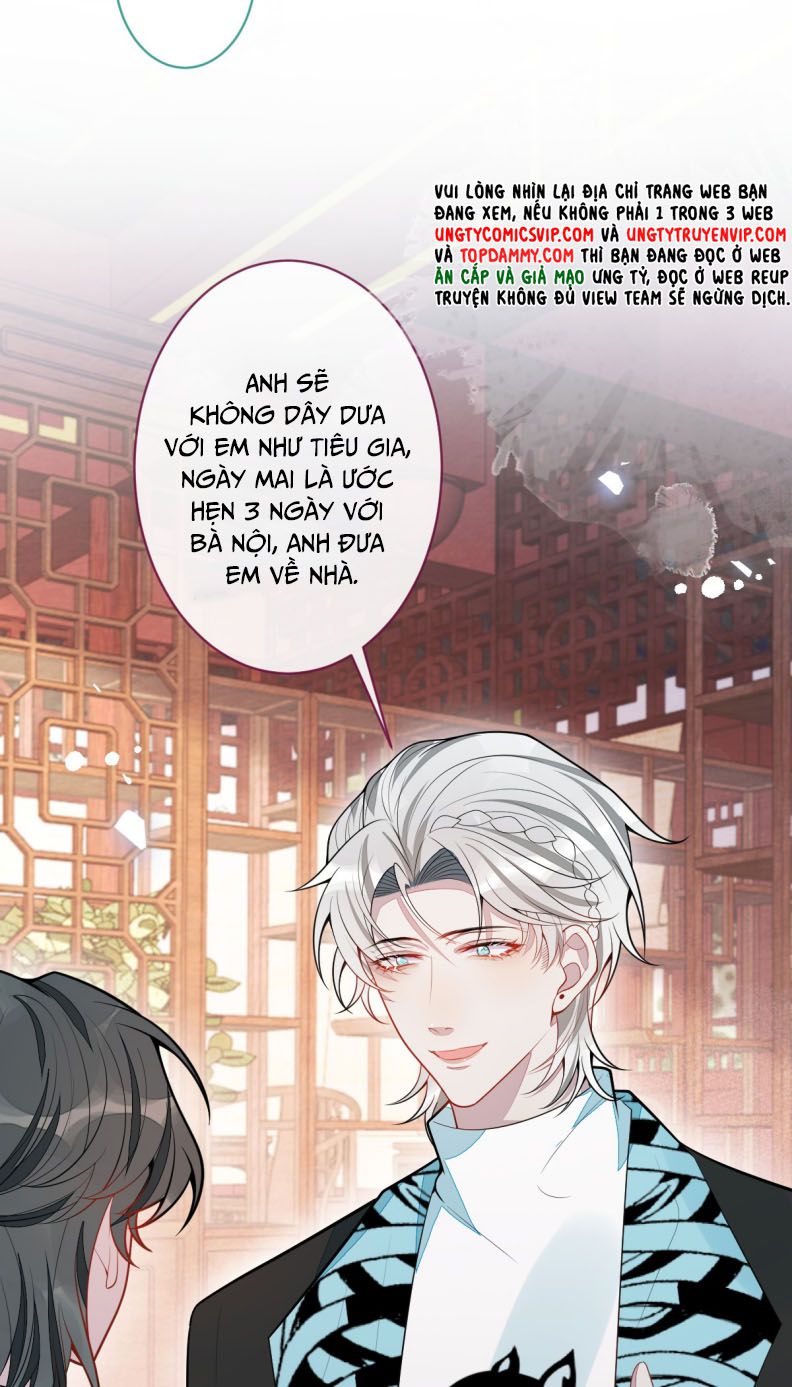 Báo Ân Của Sói Chapter 66 - Trang 2