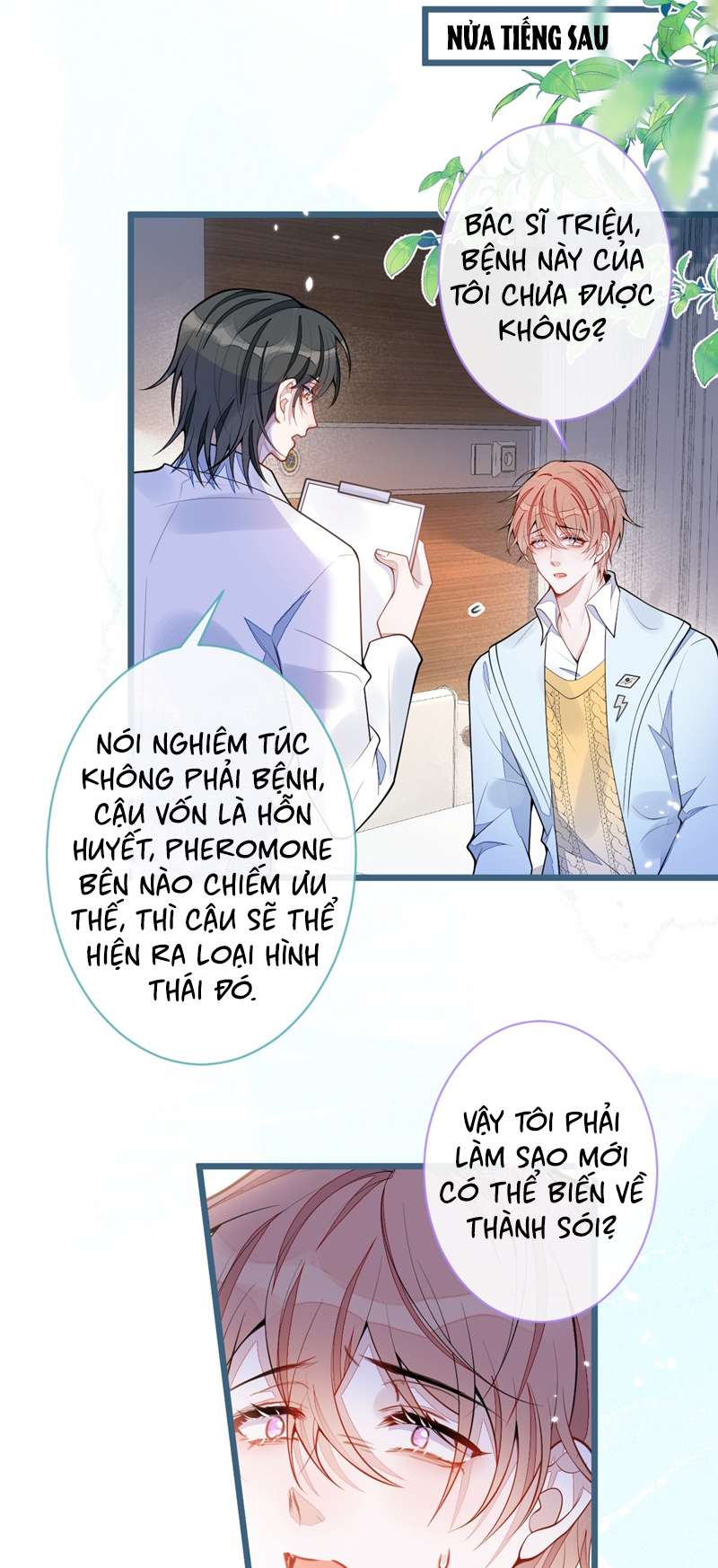 Báo Ân Của Sói Chapter 51 - Trang 2