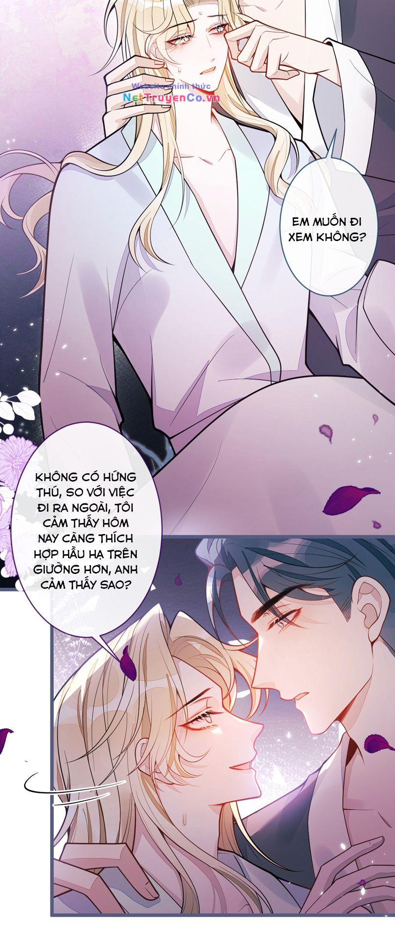 Báo Ân Của Sói Chapter 41 - Trang 2