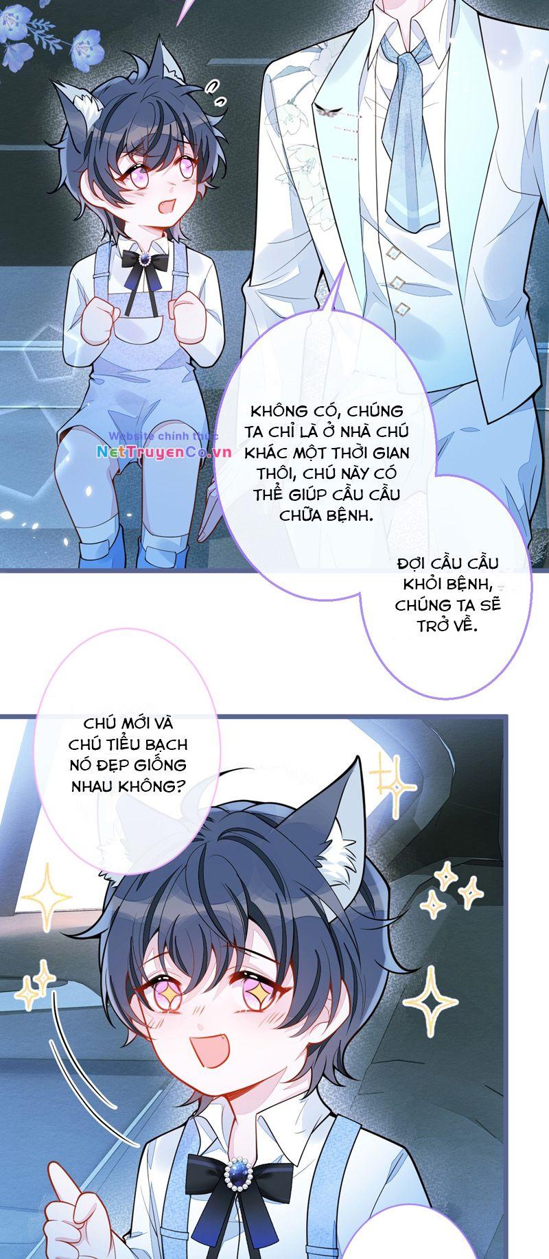 Báo Ân Của Sói Chapter 41 - Trang 2