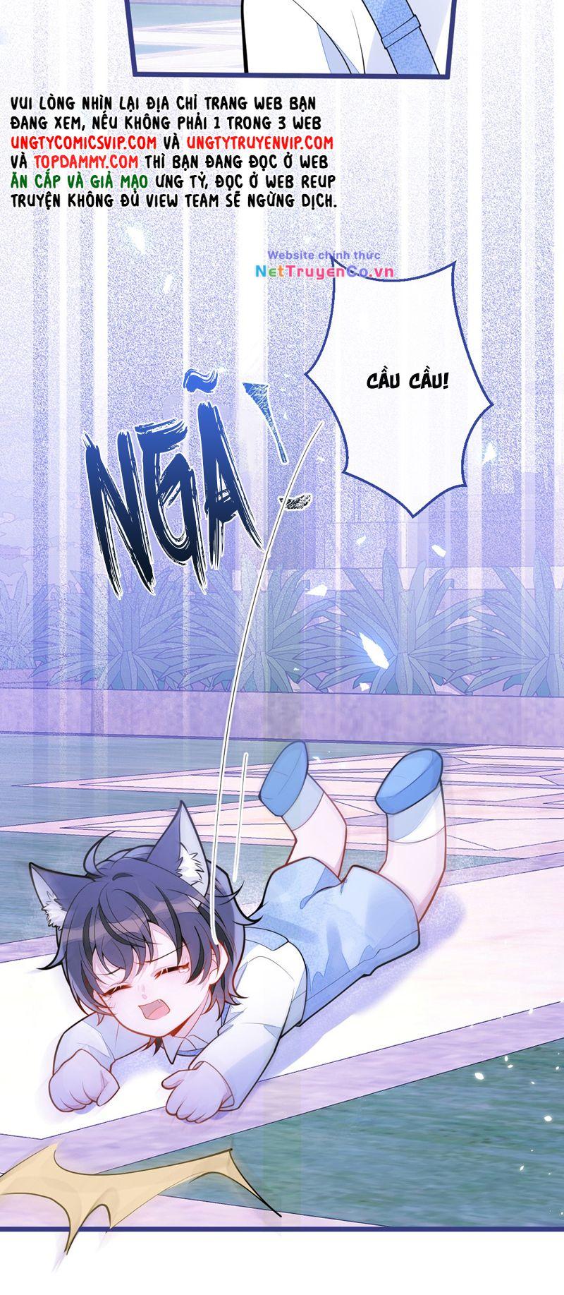 Báo Ân Của Sói Chapter 41 - Trang 2