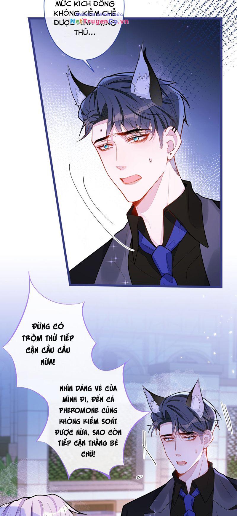 Báo Ân Của Sói Chapter 41 - Trang 2