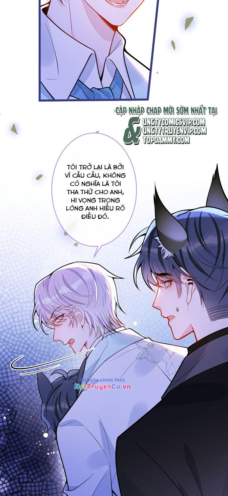 Báo Ân Của Sói Chapter 41 - Trang 2