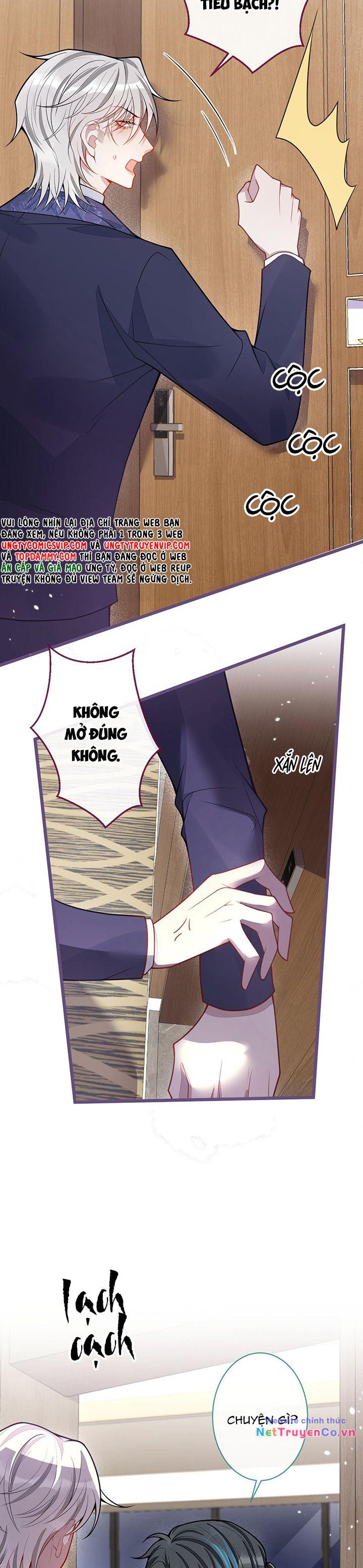 Báo Ân Của Sói Chapter 40 - Trang 2