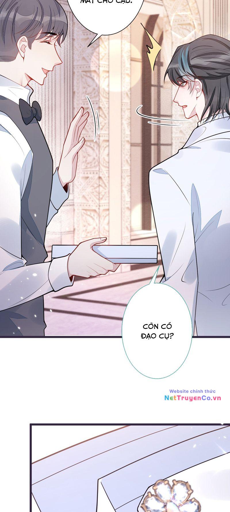 Báo Ân Của Sói Chapter 39 - Trang 2