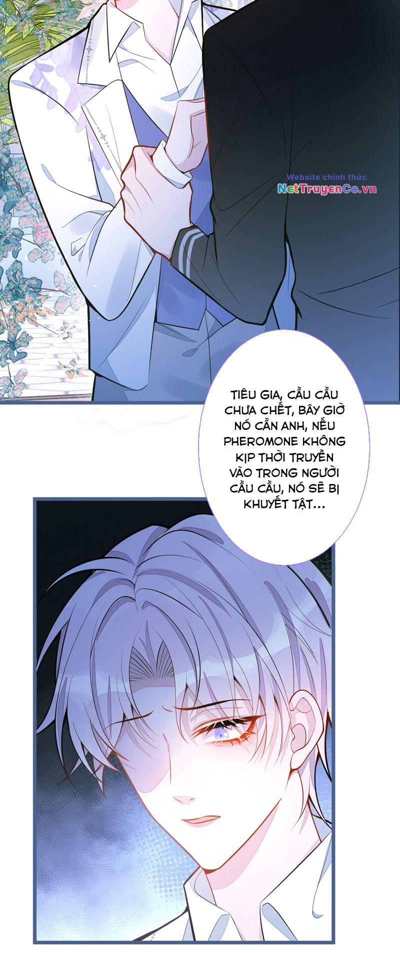 Báo Ân Của Sói Chapter 39 - Trang 2