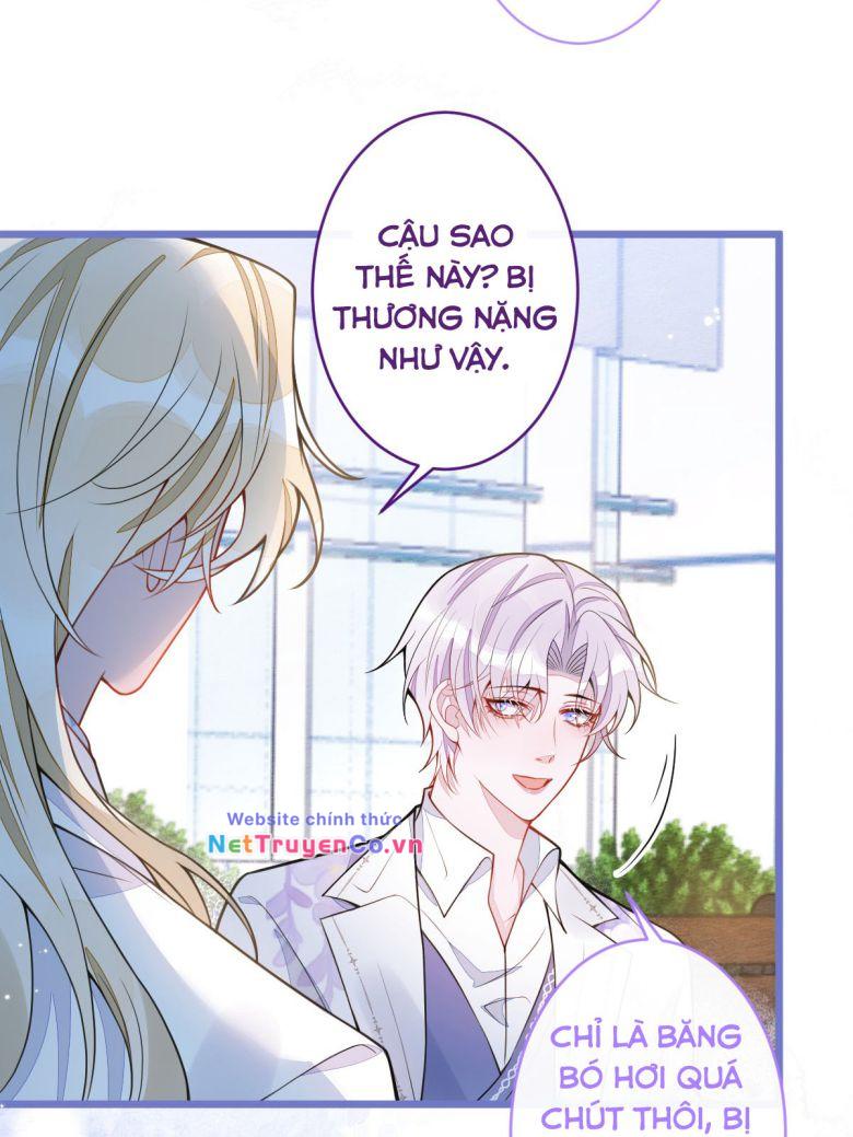 Báo Ân Của Sói Chapter 37 - Trang 2