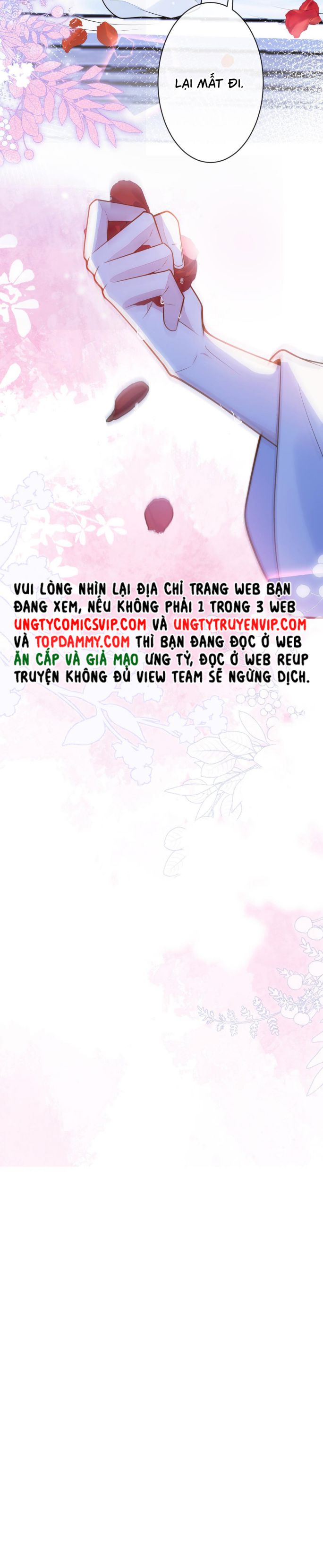 Báo Ân Của Sói Chapter 36 - Trang 2