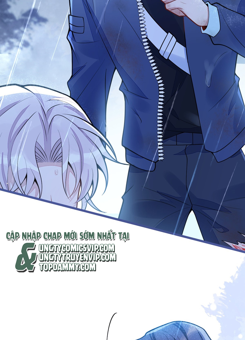 Báo Ân Của Sói Chapter 35 - Trang 2