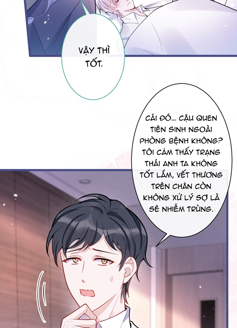 Báo Ân Của Sói Chapter 35 - Trang 2