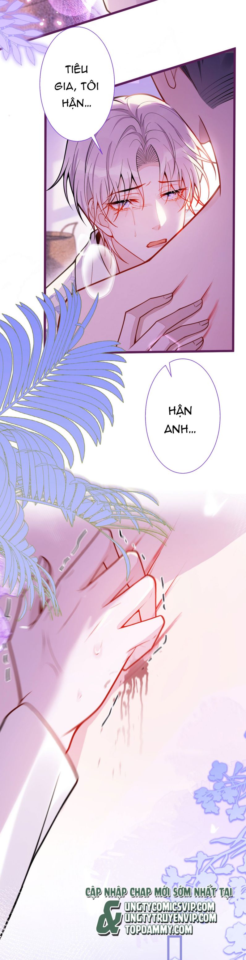 Báo Ân Của Sói Chapter 24 - Trang 2