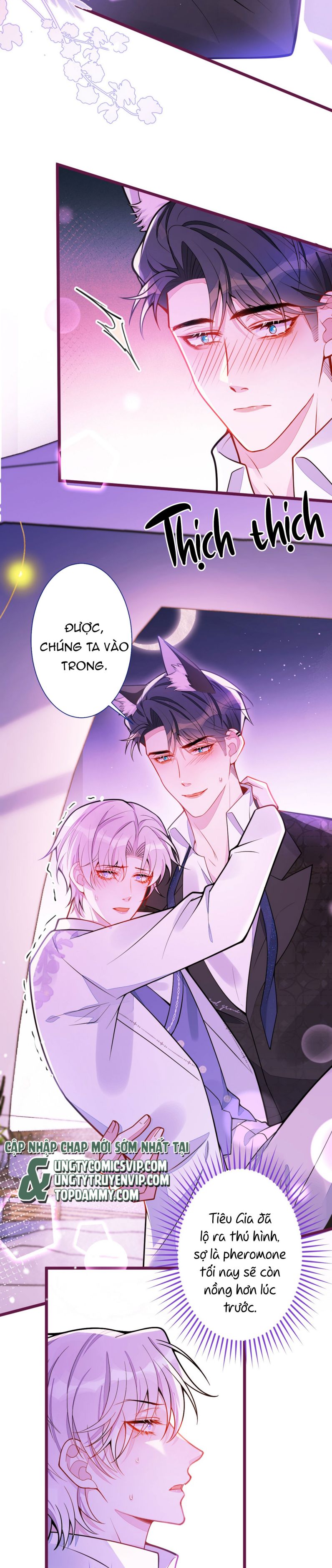 Báo Ân Của Sói Chapter 24 - Trang 2