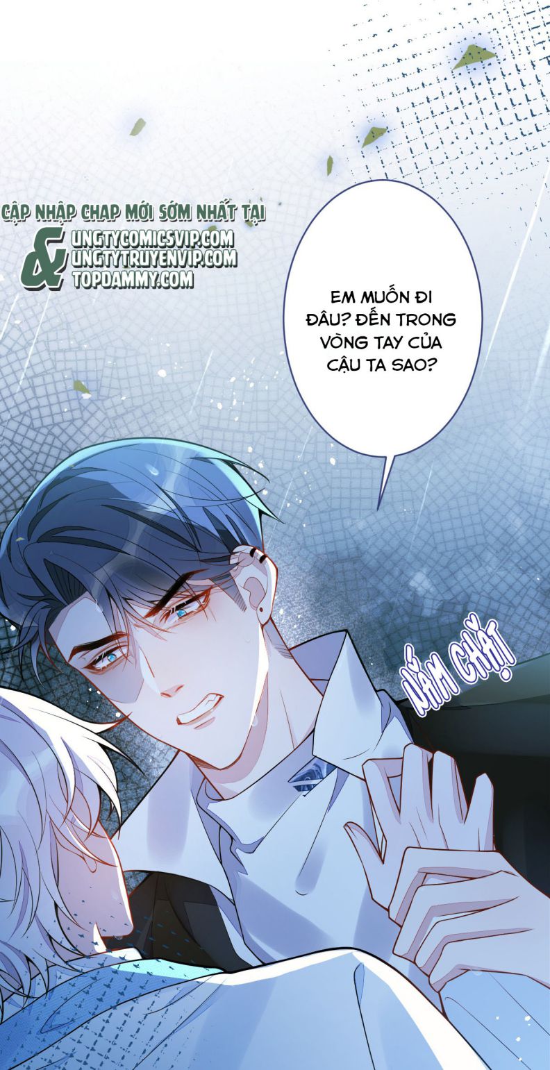 Báo Ân Của Sói Chapter 8 - Trang 2