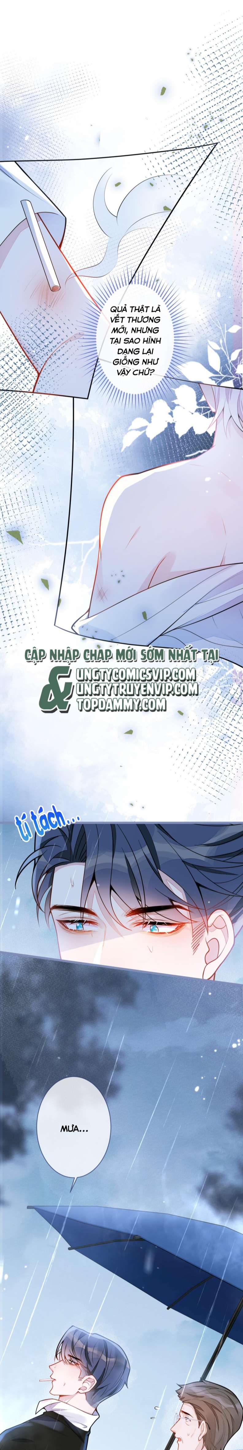 Báo Ân Của Sói Chapter 7 - Trang 2