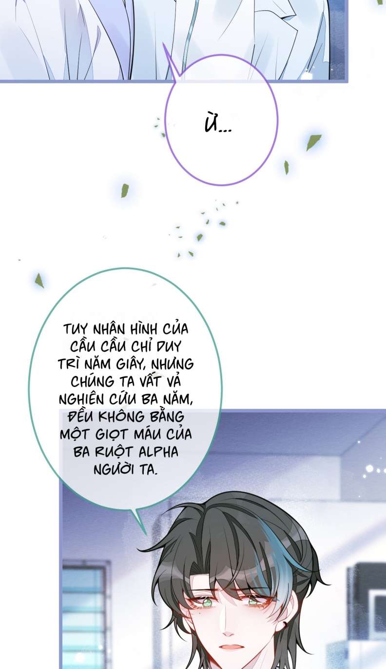 Báo Ân Của Sói Chapter 5 - Trang 2