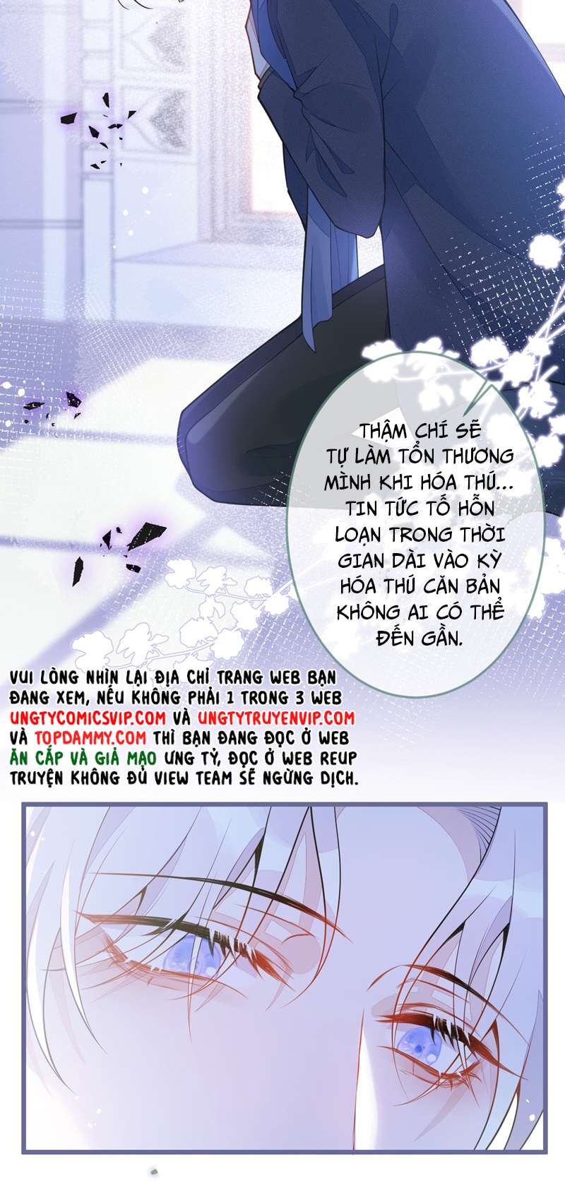 Báo Ân Của Sói Chapter 1 - Trang 2