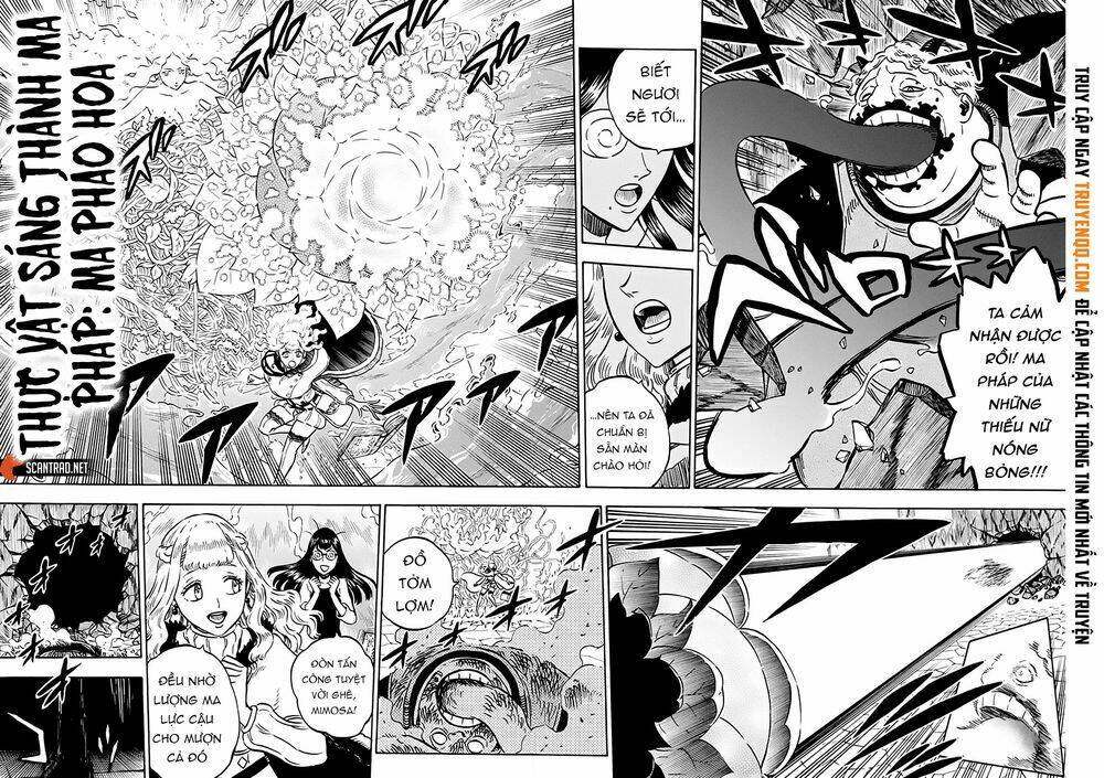 Black Clover – Pháp Sư Không Phép Thuật Chapter 251 - Trang 2