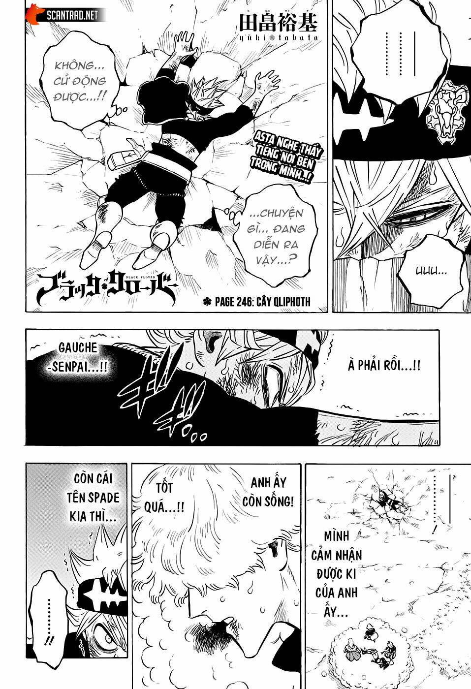 Black Clover – Pháp Sư Không Phép Thuật Chapter 246 - Trang 2