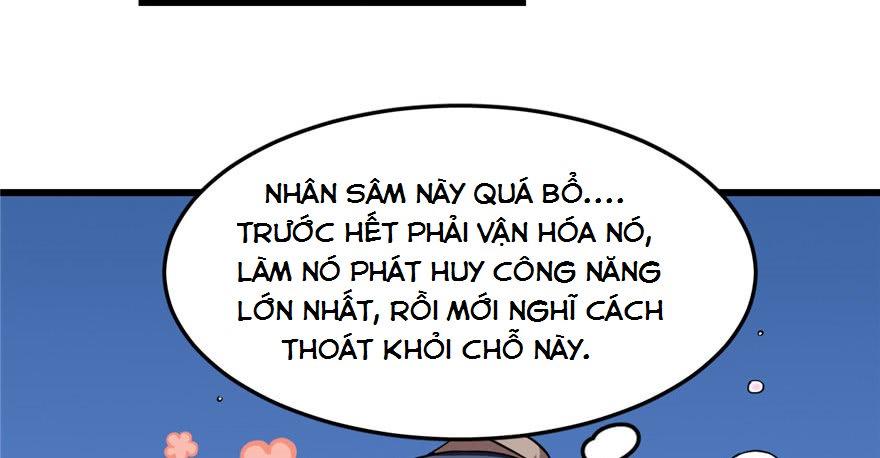 Độc Bộ Thiên Hạ: Đặc Công Thần Y Chapter 34 - Trang 2