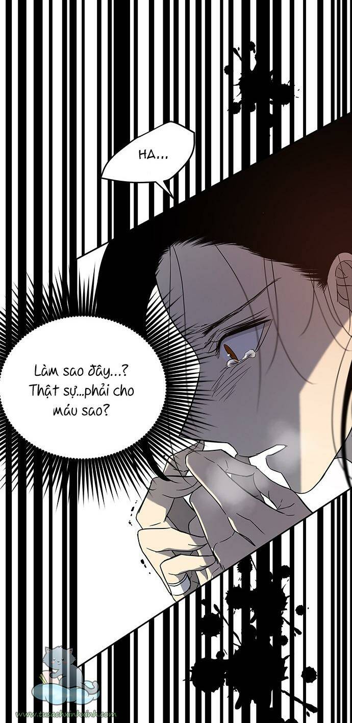 Cạm Bẫy Chapter 68 - Trang 2