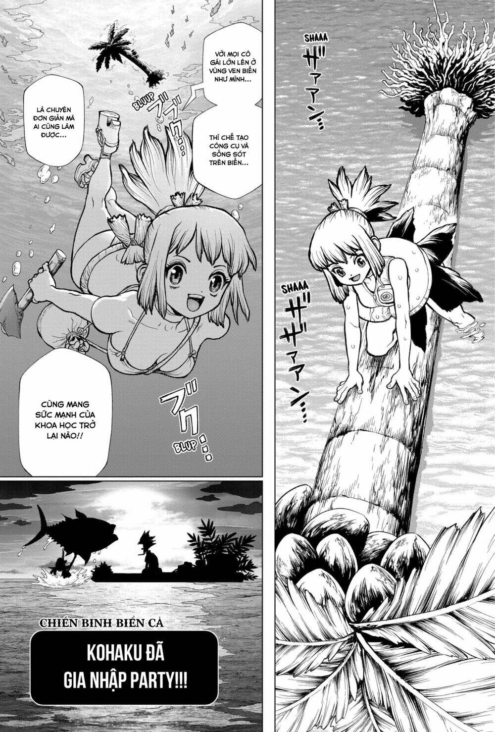 Dr.Stone – Hồi Sinh Thế Giới Chapter 232.6 - Trang 2