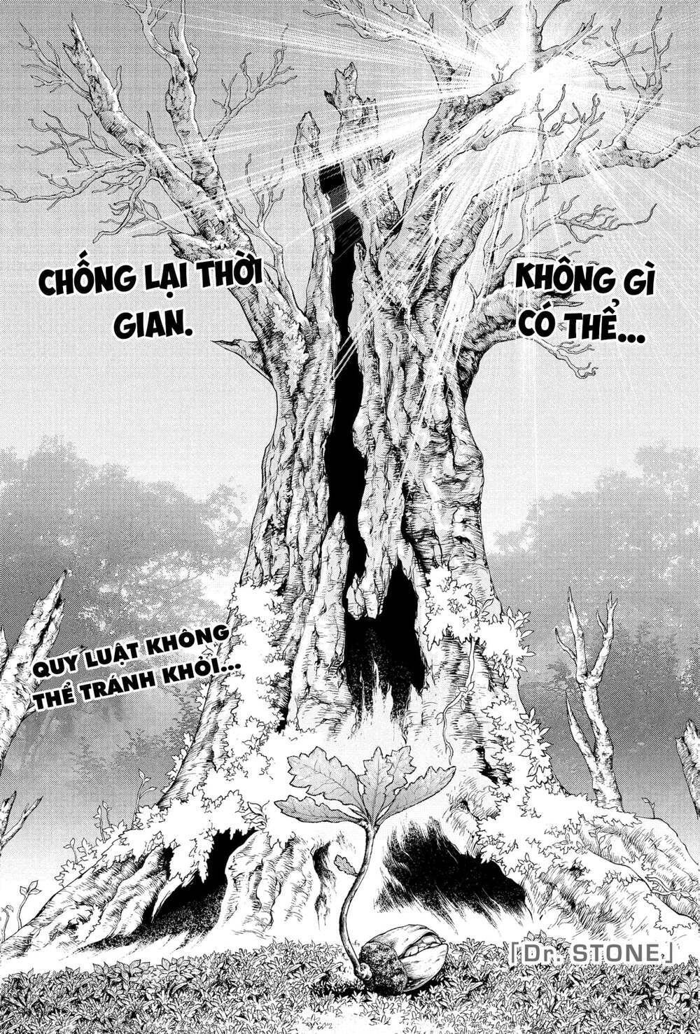 Dr.Stone – Hồi Sinh Thế Giới Chapter 230 - Trang 2